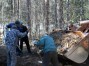 Субботники продолжаются